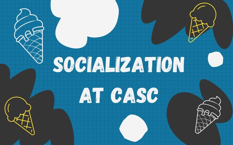 Социализация в CASC