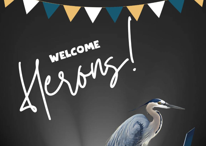 Баннер "Добро пожаловать, цапли!